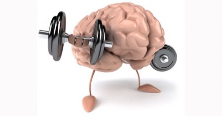 5 exercises for the brain, which develop the mind and memory