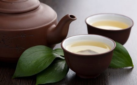 How green tea and nuts help to lose weight by 5 kg