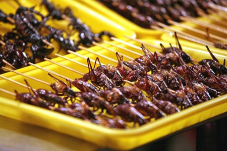 The best source of iron for humans - food from insects