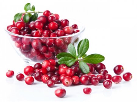 To whom and why you need to eat  cranberry