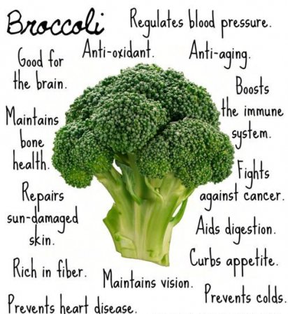 Broccoli - The World's Healthiest Foods