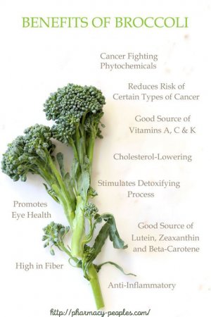 Broccoli - The World's Healthiest Foods