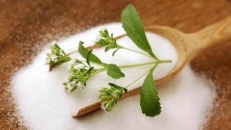 Stevia – A Natural Sweetener With Proven Health Benefits
