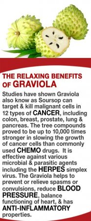 Natural Cancer Killer That is 10x Stronger Than the Chemo Therapy