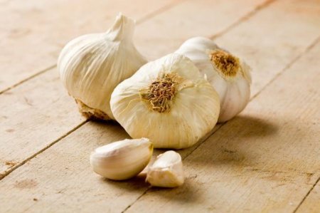 Garlic & Kidney Flush