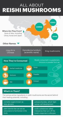 6 Awesome Health Benefits Of Reishi Mushrooms