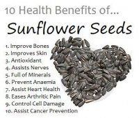 Sunflower seeds nutrition facts and health benefits 