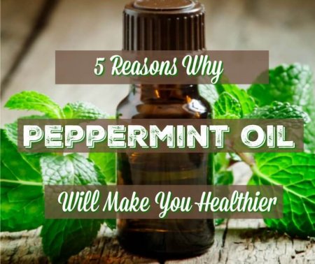 5 Reasons Why Peppermint Oil Will Make You Healthier