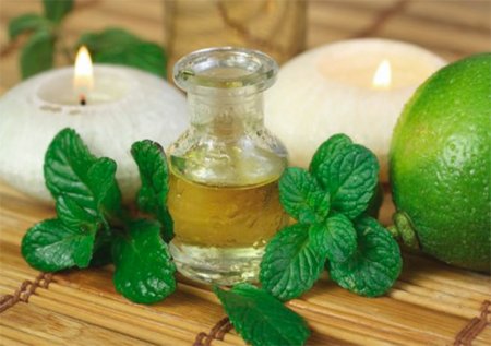 5 Reasons Why Peppermint Oil Will Make You Healthier